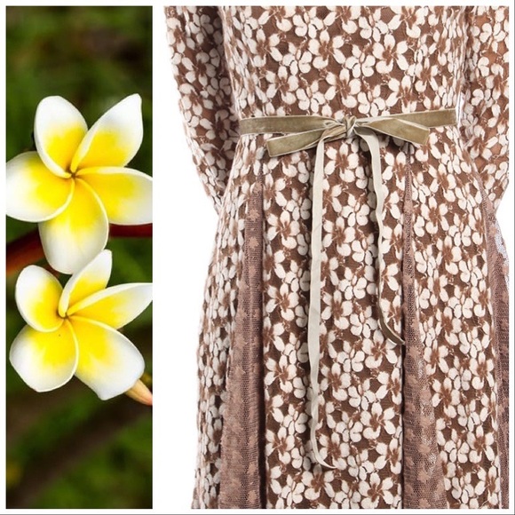 Blossoming Almond Brushed Lace Handkerchief Dress - Picture 8 of 8